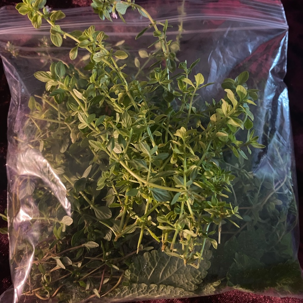 Fresh Thyme